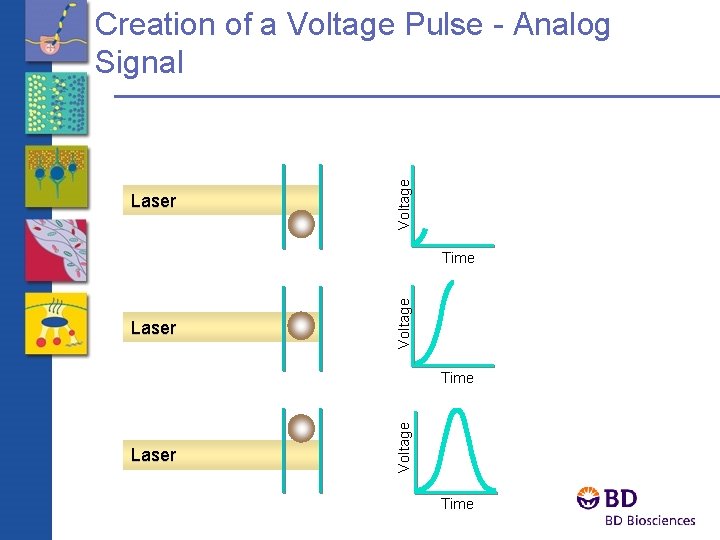 Laser Voltage Creation of a Voltage Pulse - Analog Signal Laser Voltage Time 