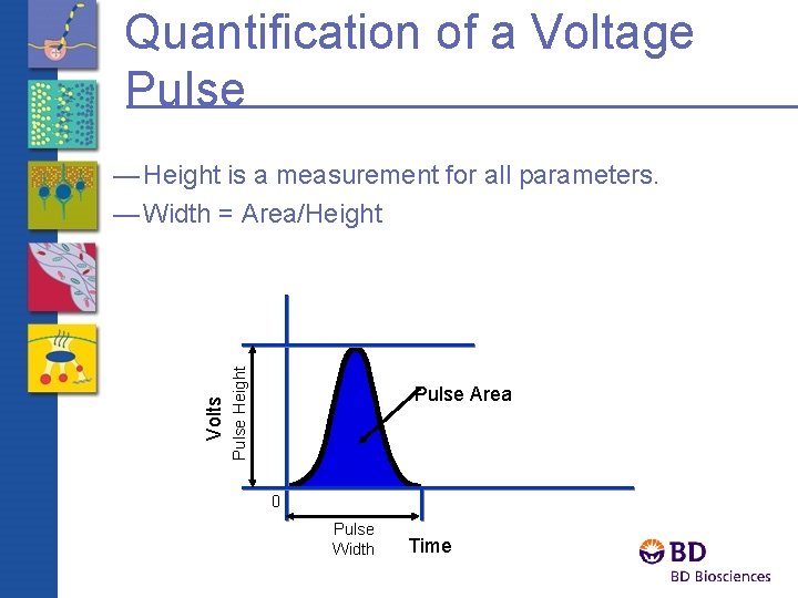 Quantification of a Voltage Pulse Height Volts — Height is a measurement for all