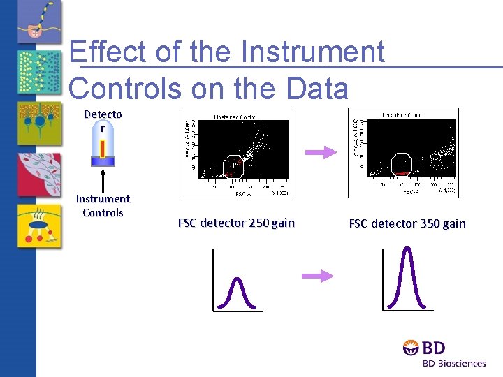 Effect of the Instrument Controls on the Data Detecto r Instrument Controls FSC detector