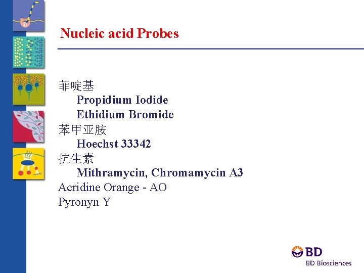 Nucleic acid Probes 菲啶基 Propidium Iodide Ethidium Bromide 苯甲亚胺 Hoechst 33342 抗生素 Mithramycin, Chromamycin
