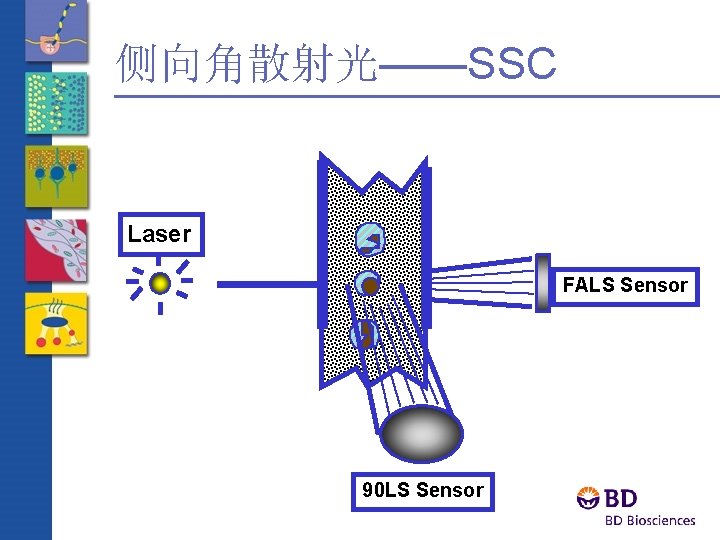 侧向角散射光——SSC Laser FALS Sensor 90 LS Sensor 
