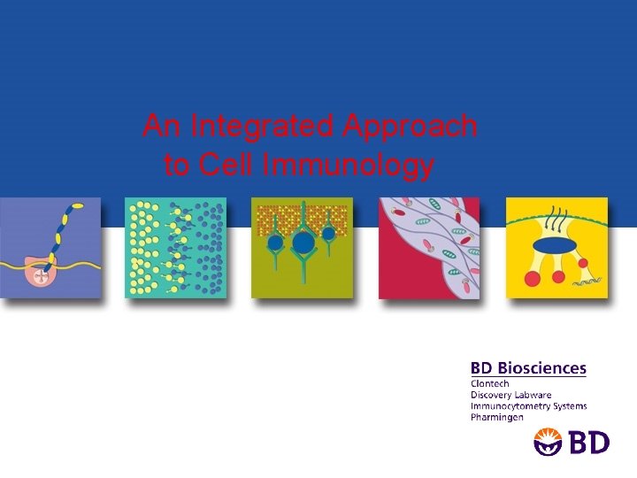 An Integrated Approach to Cell Immunology 