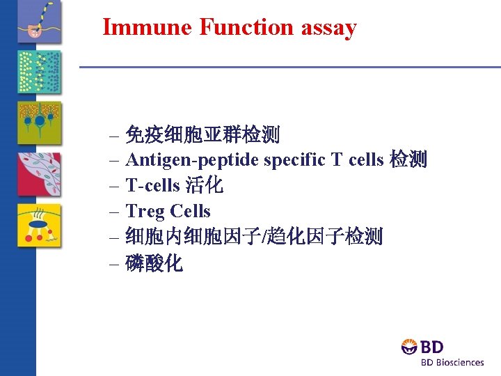 Immune Function assay – 免疫细胞亚群检测 – Antigen-peptide specific T cells 检测 – T-cells 活化