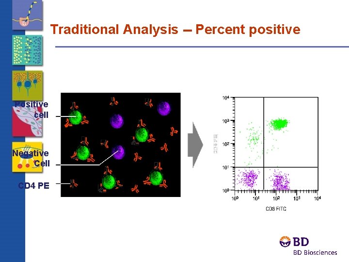 Traditional Analysis -- Percent positive Negative Cell CD 4 PE Positive cell 
