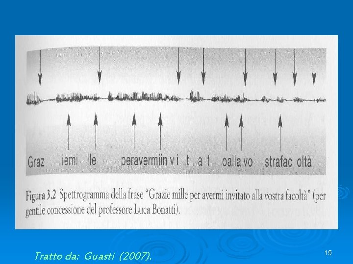 Tratto da: Guasti (2007). 15 