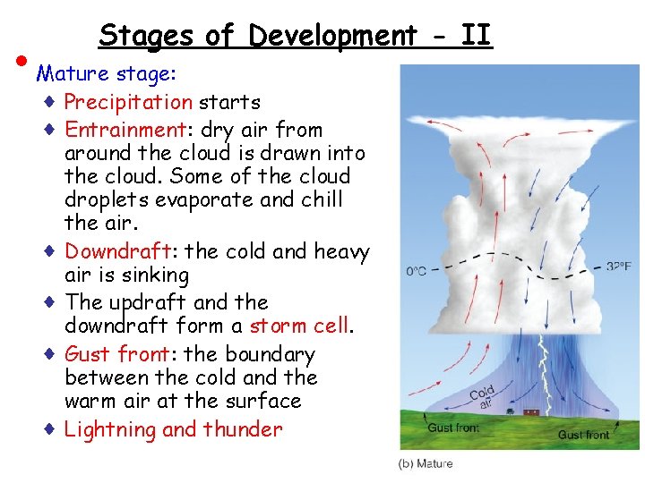 • Stages of Development - II Mature stage: ♦ Precipitation starts ♦ Entrainment: • Stages of Development - II Mature stage: ♦ Precipitation starts ♦ Entrainment: