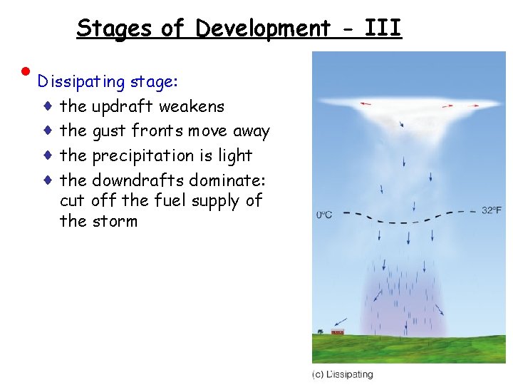 • Stages of Development - III Dissipating stage: ♦ the updraft weakens ♦ • Stages of Development - III Dissipating stage: ♦ the updraft weakens ♦