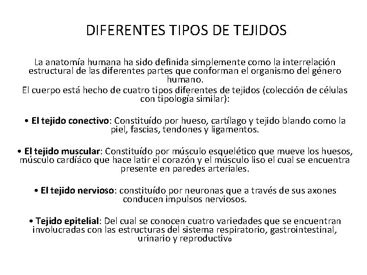 DIFERENTES TIPOS DE TEJIDOS La anatomía humana ha sido definida simplemente como la interrelación