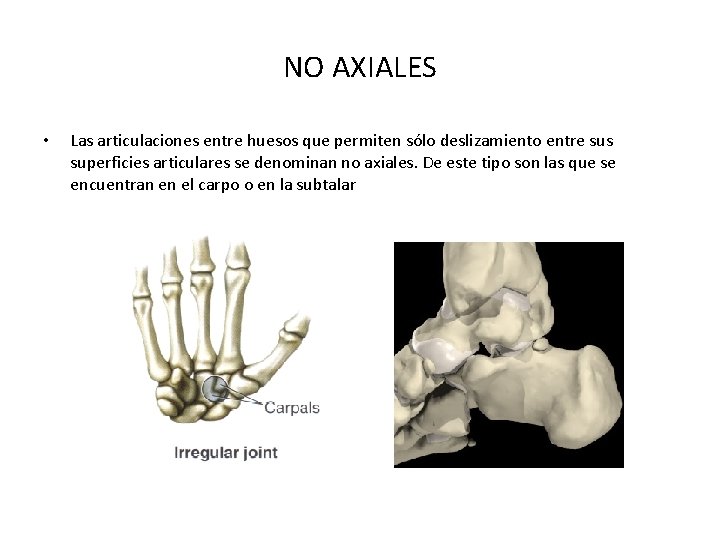 NO AXIALES • Las articulaciones entre huesos que permiten sólo deslizamiento entre sus superficies