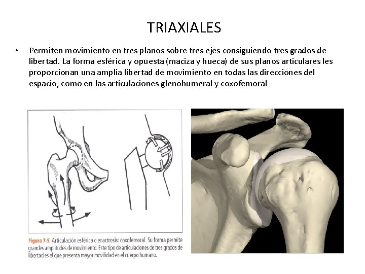 TRIAXIALES • Permiten movimiento en tres planos sobre tres ejes consiguiendo tres grados de