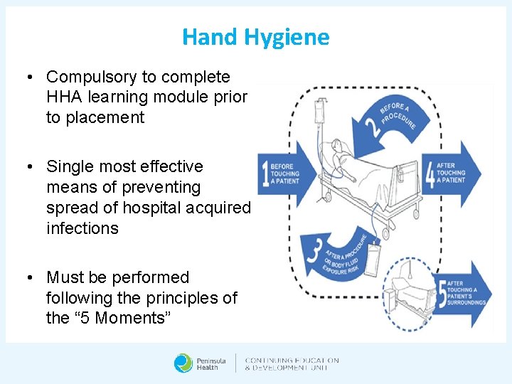 Hand Hygiene • Compulsory to complete HHA learning module prior to placement • Single