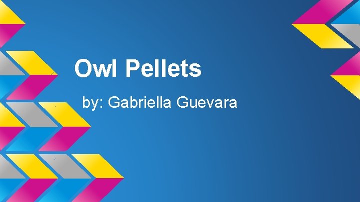 Owl Pellets by: Gabriella Guevara 