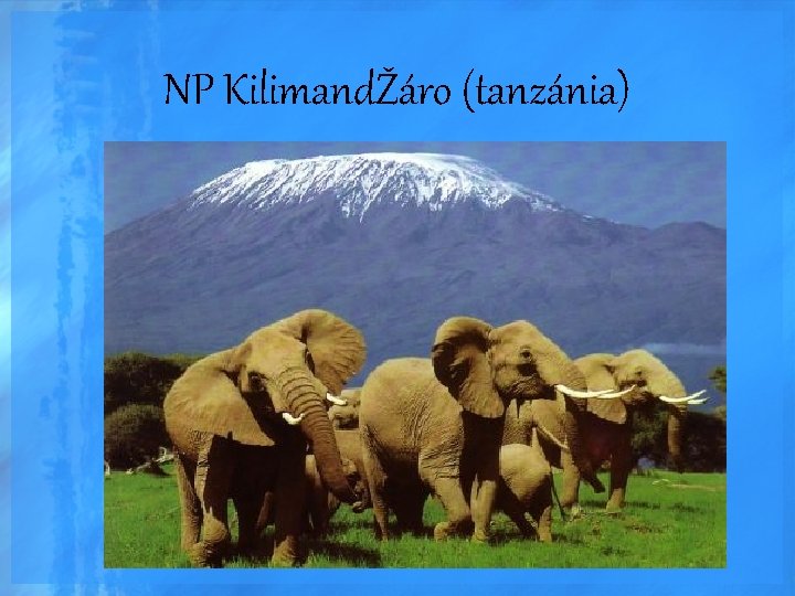 NP KilimandŽáro (tanzánia) 