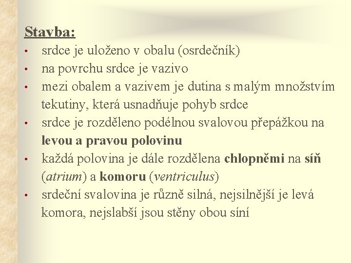 Stavba: srdce je uloženo v obalu (osrdečník) • na povrchu srdce je vazivo •