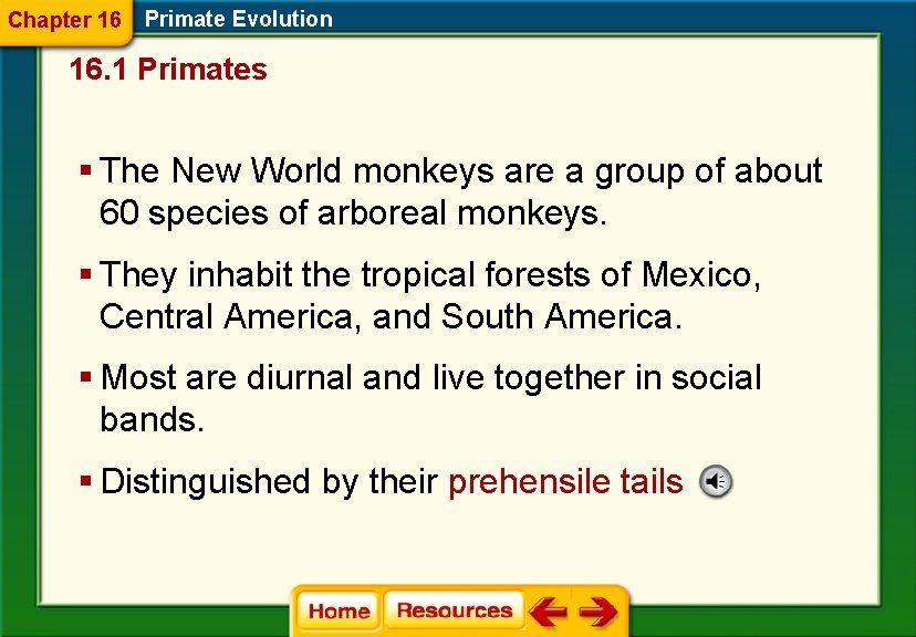 Chapter 16 Primate Evolution 16. 1 Primates § The New World monkeys are a