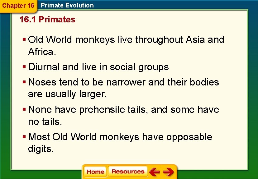 Chapter 16 Primate Evolution 16. 1 Primates § Old World monkeys live throughout Asia