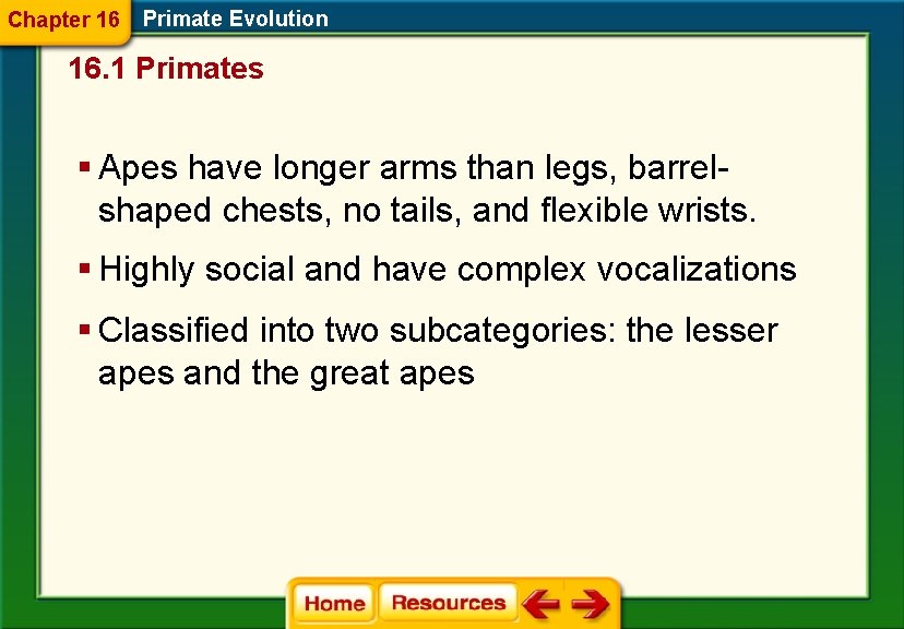 Chapter 16 Primate Evolution 16. 1 Primates § Apes have longer arms than legs,
