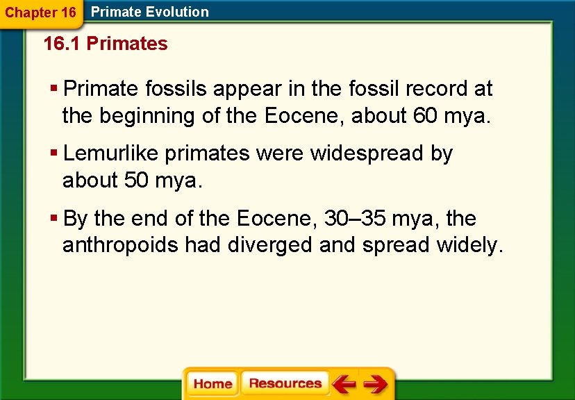 Chapter 16 Primate Evolution 16. 1 Primates § Primate fossils appear in the fossil