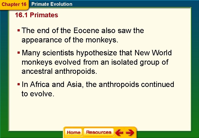 Chapter 16 Primate Evolution 16. 1 Primates § The end of the Eocene also