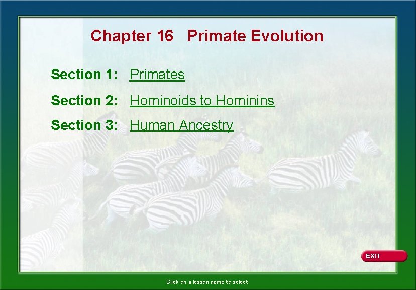 Chapter 16 Primate Evolution Section 1: Primates Section 2: Hominoids to Hominins Section 3: