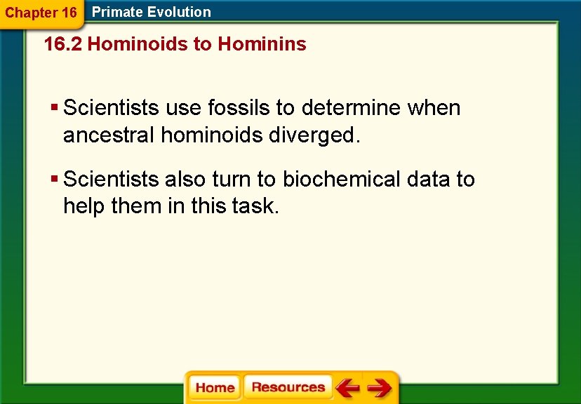 Chapter 16 Primate Evolution 16. 2 Hominoids to Hominins § Scientists use fossils to