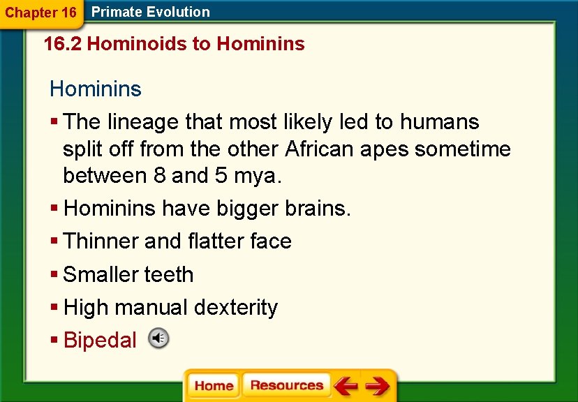 Chapter 16 Primate Evolution 16. 2 Hominoids to Hominins § The lineage that most