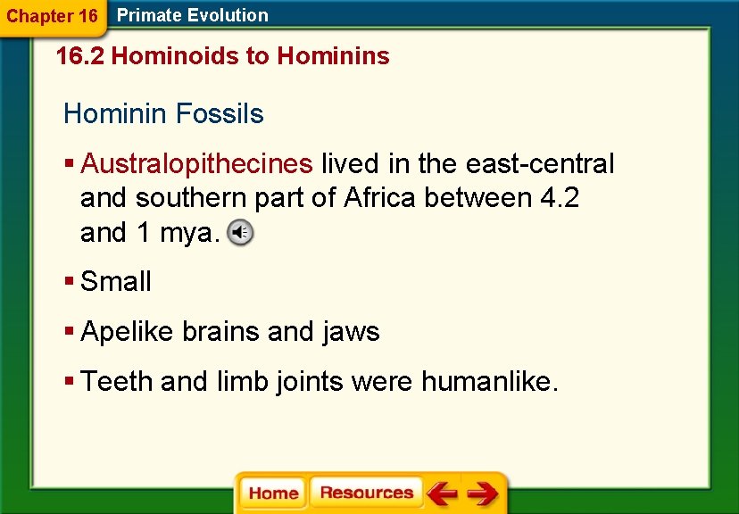 Chapter 16 Primate Evolution 16. 2 Hominoids to Hominins Hominin Fossils § Australopithecines lived