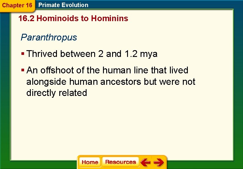Chapter 16 Primate Evolution 16. 2 Hominoids to Hominins Paranthropus § Thrived between 2