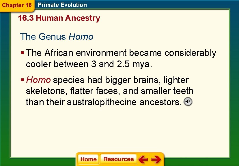 Chapter 16 Primate Evolution 16. 3 Human Ancestry The Genus Homo § The African
