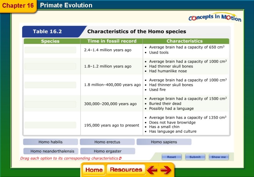 Chapter 16 Primate Evolution 