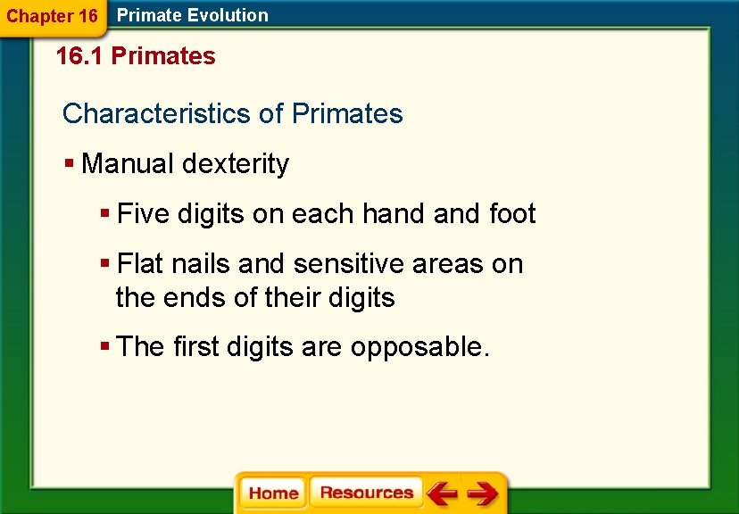 Chapter 16 Primate Evolution 16. 1 Primates Characteristics of Primates § Manual dexterity §