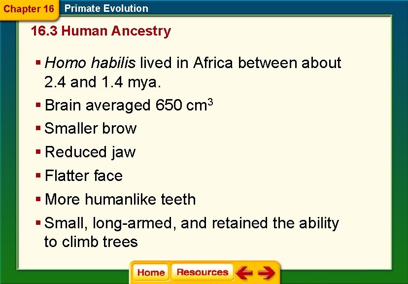 Chapter 16 Primate Evolution 16. 3 Human Ancestry § Homo habilis lived in Africa