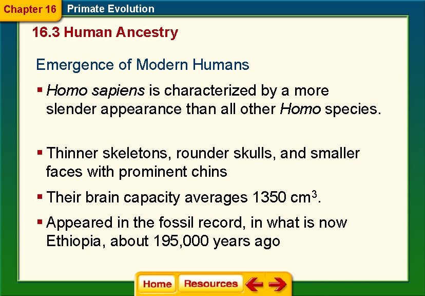 Chapter 16 Primate Evolution 16. 3 Human Ancestry Emergence of Modern Humans § Homo
