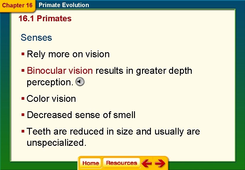 Chapter 16 Primate Evolution 16. 1 Primates Senses § Rely more on vision §