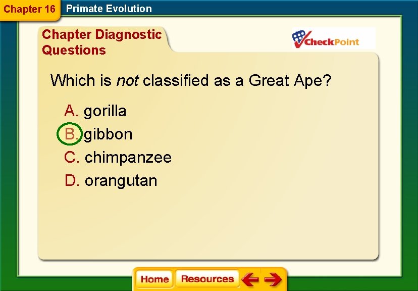 Chapter 16 Primate Evolution Chapter Diagnostic Questions Which is not classified as a Great