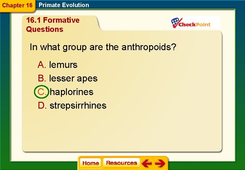 Chapter 16 Primate Evolution 16. 1 Formative Questions In what group are the anthropoids?