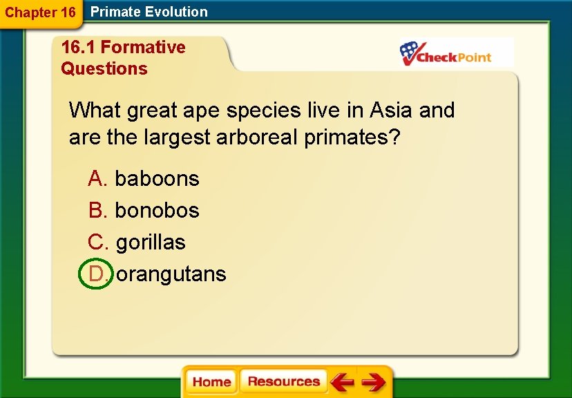 Chapter 16 Primate Evolution 16. 1 Formative Questions What great ape species live in