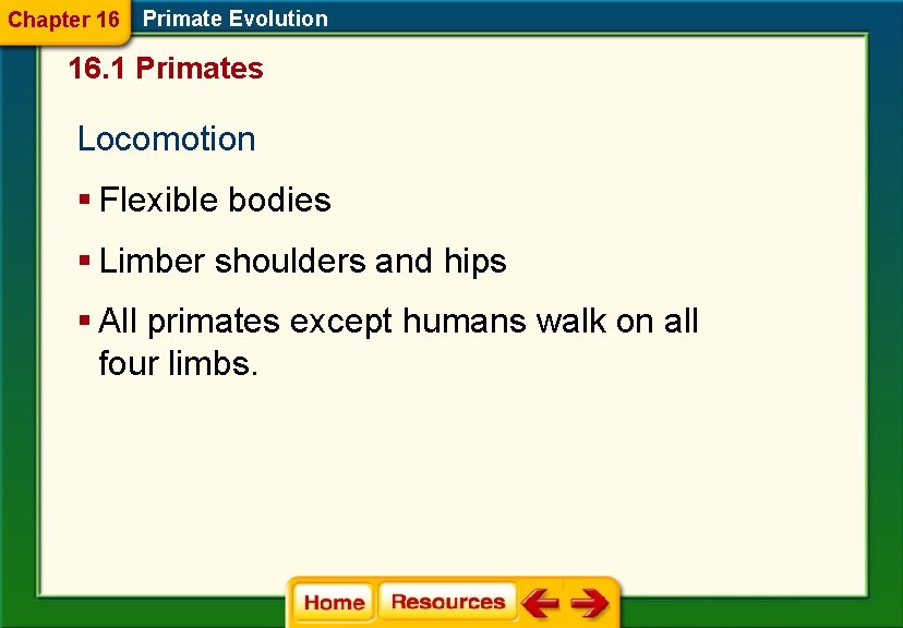 Chapter 16 Primate Evolution 16. 1 Primates Locomotion § Flexible bodies § Limber shoulders