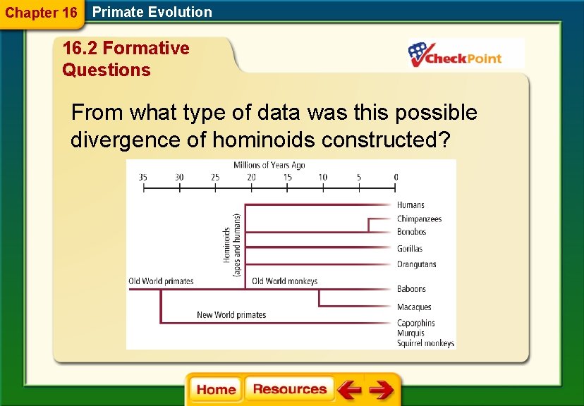 Chapter 16 Primate Evolution 16. 2 Formative Questions From what type of data was