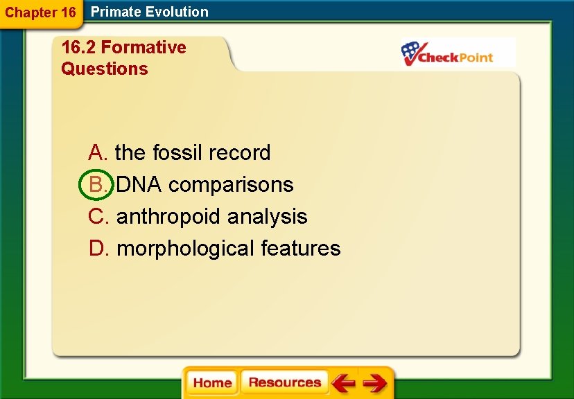 Chapter 16 Primate Evolution 16. 2 Formative Questions A. the fossil record B. DNA