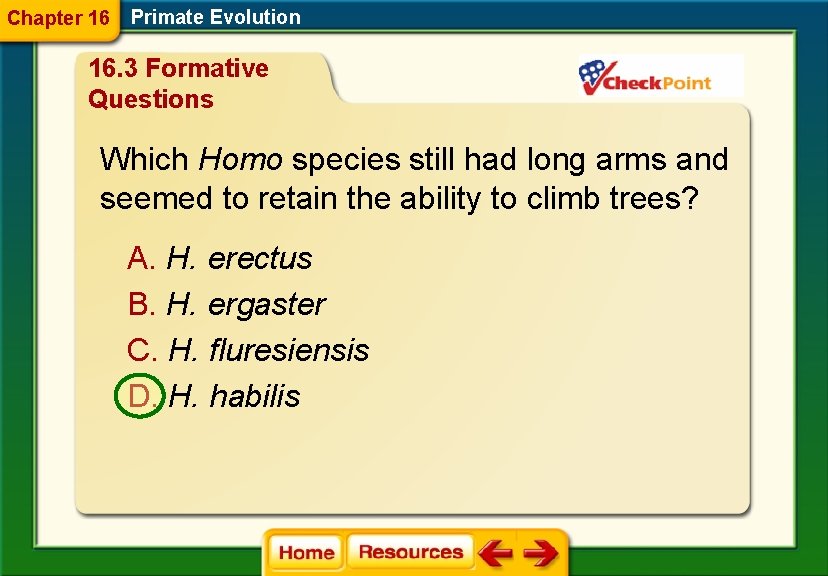 Chapter 16 Primate Evolution 16. 3 Formative Questions Which Homo species still had long