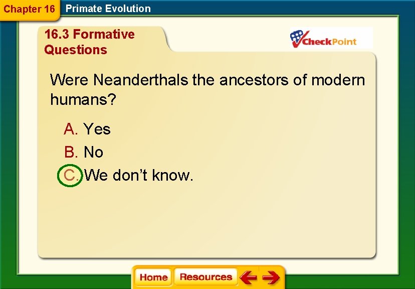 Chapter 16 Primate Evolution 16. 3 Formative Questions Were Neanderthals the ancestors of modern