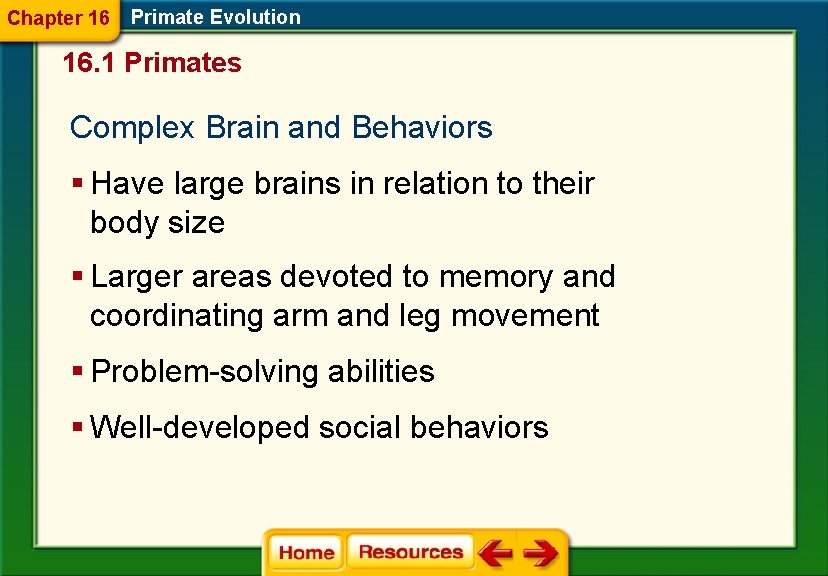Chapter 16 Primate Evolution 16. 1 Primates Complex Brain and Behaviors § Have large