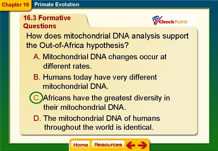 Chapter 16 Primate Evolution 16. 3 Formative Questions How does mitochondrial DNA analysis support