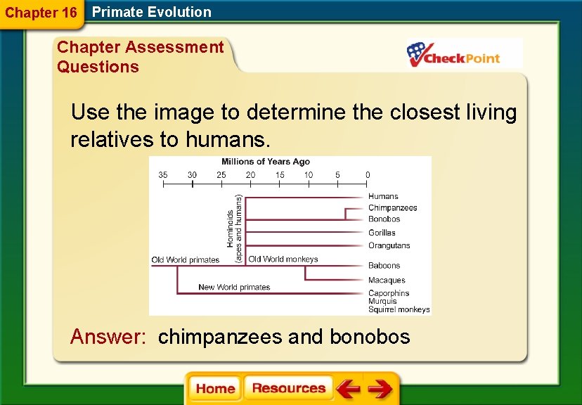 Chapter 16 Primate Evolution Chapter Assessment Questions Use the image to determine the closest