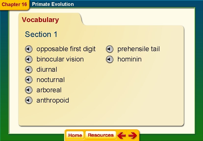 Chapter 16 Primate Evolution Vocabulary Section 1 opposable first digit prehensile tail binocular vision