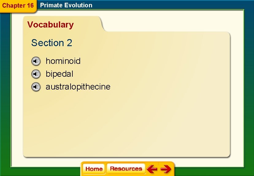 Chapter 16 Primate Evolution Vocabulary Section 2 hominoid bipedal australopithecine 