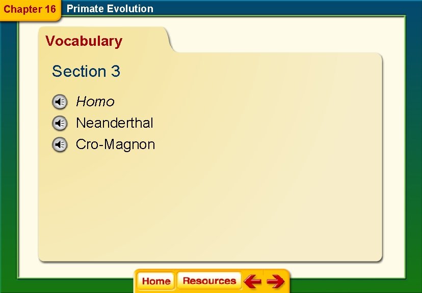 Chapter 16 Primate Evolution Vocabulary Section 3 Homo Neanderthal Cro-Magnon 