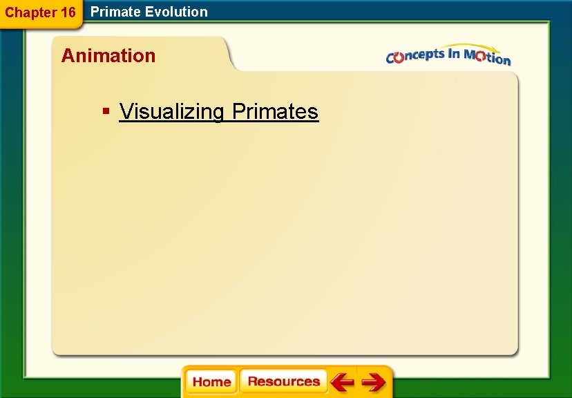 Chapter 16 Primate Evolution Animation § Visualizing Primates 