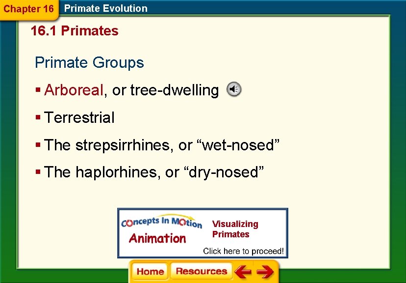 Chapter 16 Primate Evolution 16. 1 Primates Primate Groups § Arboreal, or tree-dwelling § Chapter 16 Primate Evolution 16. 1 Primates Primate Groups § Arboreal, or tree-dwelling §